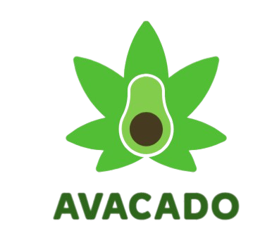 avacado-removebg-preview